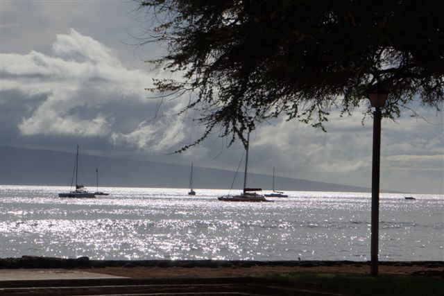 Slideshow Image